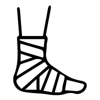 Traumatologie & Orthopédie